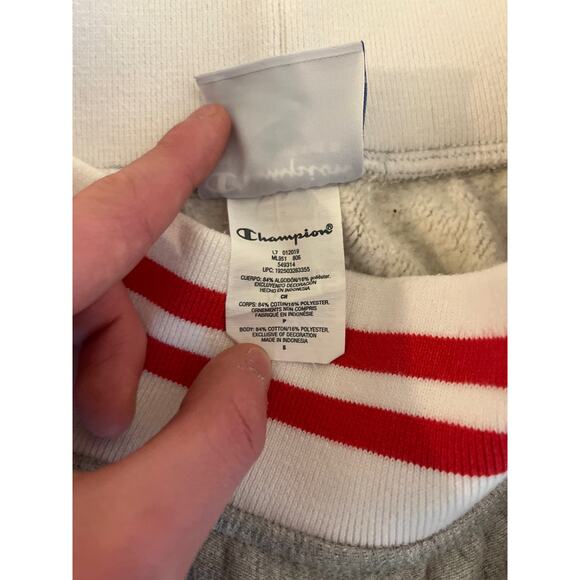 Champion Reverse Weave Fleece Mini Skirt Size S Gray Athleisure Tenniscore - Picture 4 of 7